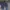 CurlySue Casual Kids green blue photo 5
