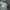CurlySue Casual Kids green blue photo 6
