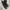 Dr Martens 1460 Pascal Boot Black Leather Original photo 3