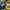 sun surf x beams crazy aloha edition hawaiian shirt photo 5