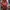 Luxury Wanita red yellow photo 3
