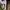 Nike Air Force 1 07 LV 8  photo 4