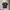 T-Shirt Reebok Pocket photo 2