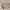 Women Plaid Clutch Tas Jinjing Makeup Wanita