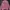 COMPAGNO Crewneck Washed Pink Cheesy Bunny photo 5