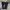 Celana pendek under armour size S photo 1