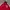 Arsenal Nike  2011 kit official TRACTOP  photo 5