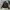 Adidas Minimalist Casual Bomber jacket Pria black photo 3