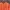Adidas Orange Tshirt photo 2