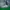 Cap NFL photo 3