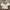 Crop Top Cream Lovet photo 3