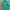 Green Knit Ribbed Shirt
