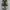 Converse Chuck 70 Low x Carhartt WIP green camo photo 2