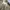 MM6 Maison Margiela x Supreme Zip Up Hoodie White photo 3