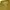 Casual Casual dress Wanita gold photo 2