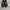 Compass Vintage Skater Sneakers Pria Black