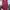 Blazer Maroon Outwear Atasan  photo 2