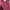 Blazer Maroon Outwear Atasan  photo 5