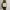 CREGAR DRESS WATCH