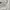 Vintage Coquette Evening dress Wanita white photo 6