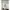 Vintage Coquette Evening dress Wanita white photo 8