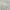 Vintage Coquette Evening dress Wanita white photo 3