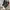 Kith x Coca-Cola x Converse 2018 (No Box) photo 1