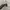 Oakley frogskin sunglasses photo 4