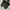 Salvatore ferragamo leather shoe photo 3