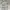 The North Face Gorpcore Futurist Windbreaker Wanita cream photo 4