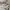 The North Face Gorpcore Futurist Windbreaker Wanita cream photo 3