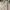 The North Face Gorpcore Futurist Windbreaker Wanita cream photo 5