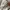 The North Face Gorpcore Futurist Windbreaker Wanita cream photo 2