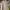 The North Face Gorpcore Futurist Windbreaker Wanita cream photo 6