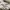 The North Face Gorpcore Futurist Windbreaker Wanita cream photo 1