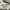 The North Face Gorpcore Futurist Windbreaker Wanita Cream