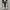 Fear of God ESSENTIALS x Converse Chuck 70 HI Black ORIGINAL photo 5