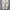 Fear of God ESSENTIALS x Converse Chuck 70 HI Black ORIGINAL photo 7