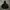 Hoodie lost management cities photo 3