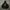 Hoodie lost management cities photo 1