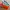 Nike zoom fly glacier ice 39 photo 6