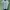 Japanese Experimental Fishnet Futuristic Avant Garde Style photo 1