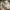 fs. CARHARTT wip camo shirt photo 4