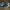 Converse chuck 70 3V velcro dark raisin photo 3