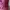 Tote Bag Kipling _ Fuchsia photo 3