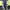 Adidas Sportswear Jersey Pria navy blue photo 8