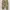 Luxury Minimalist Pria multicolor photo 5