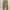 Luxury Minimalist Pria multicolor photo 3
