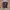 Dickies Casual T-shirt Pria multicolor photo 1