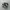 nike tn photo 1